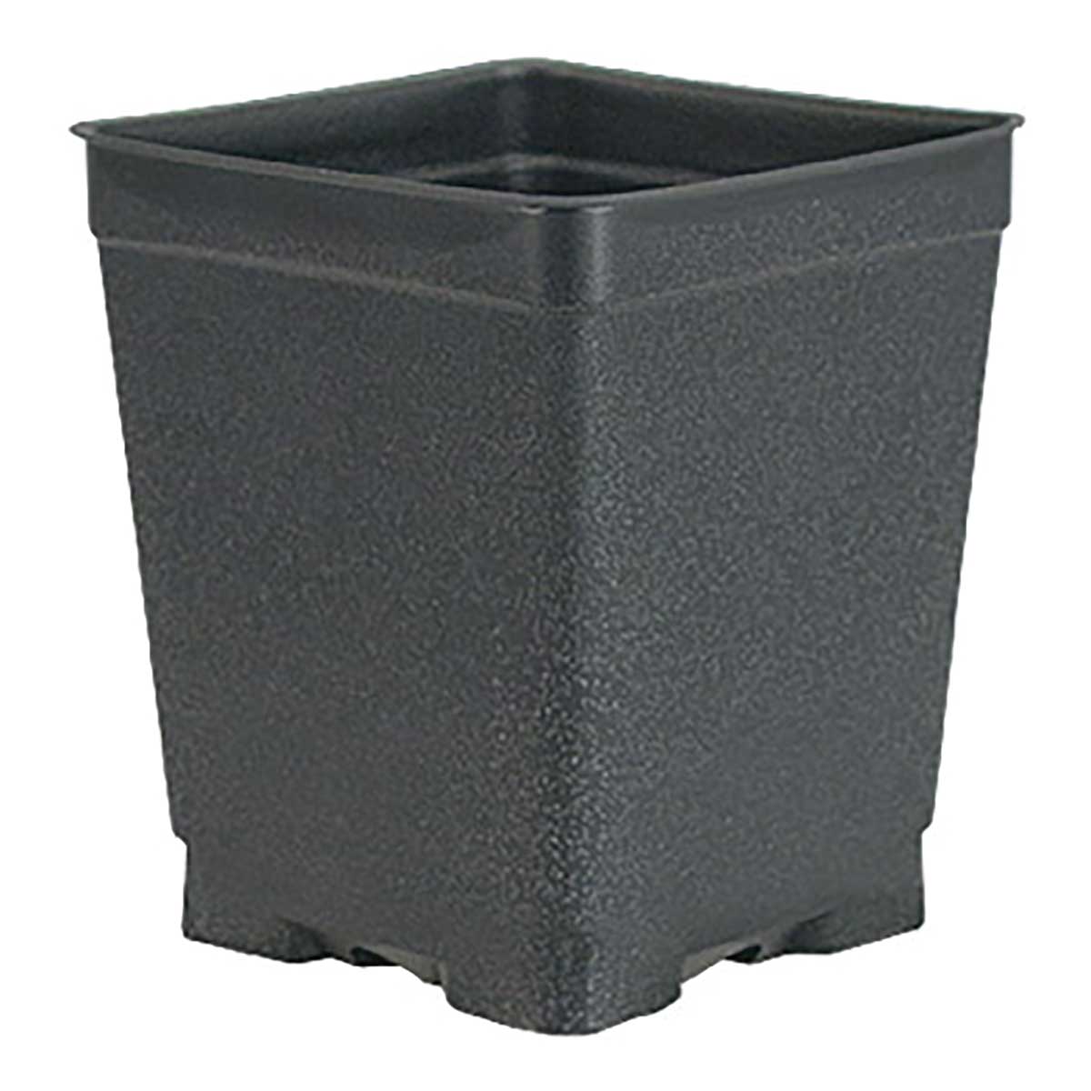 black square plant pots Dillen 4.50 Square Thermoform Pot, Black, 375-case DLNSVP0450DG18C375