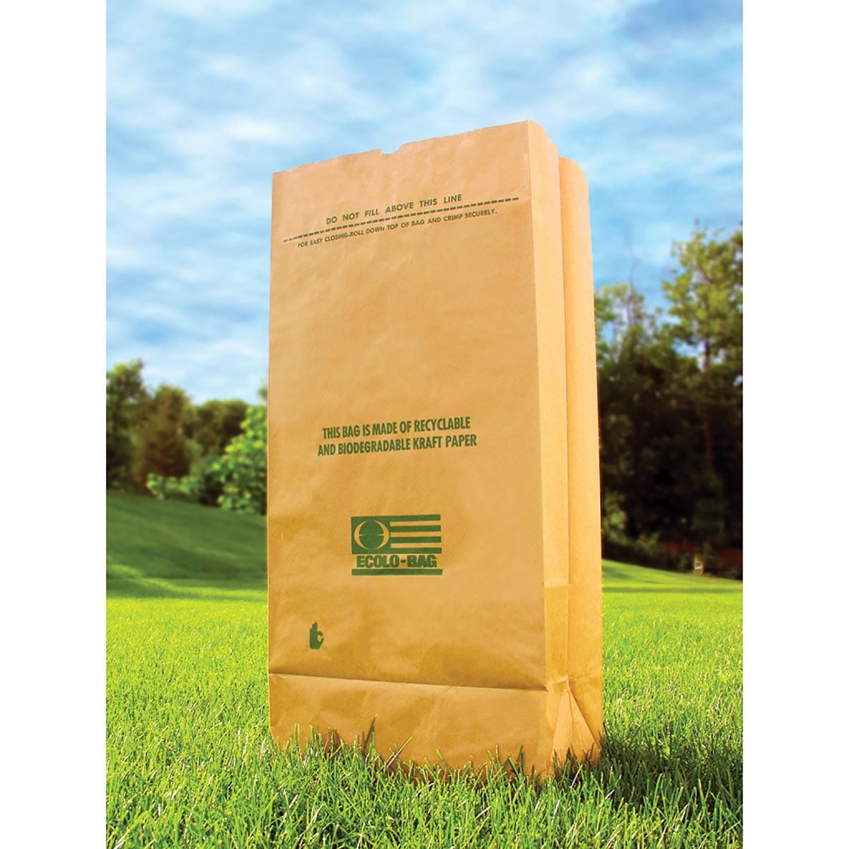 Dano 5-Pack Ecolo-Bag 30 Gallon Lawn & Leaf Bags