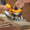 DEWALT 7-1/4 in. Lightweight Circular Saw