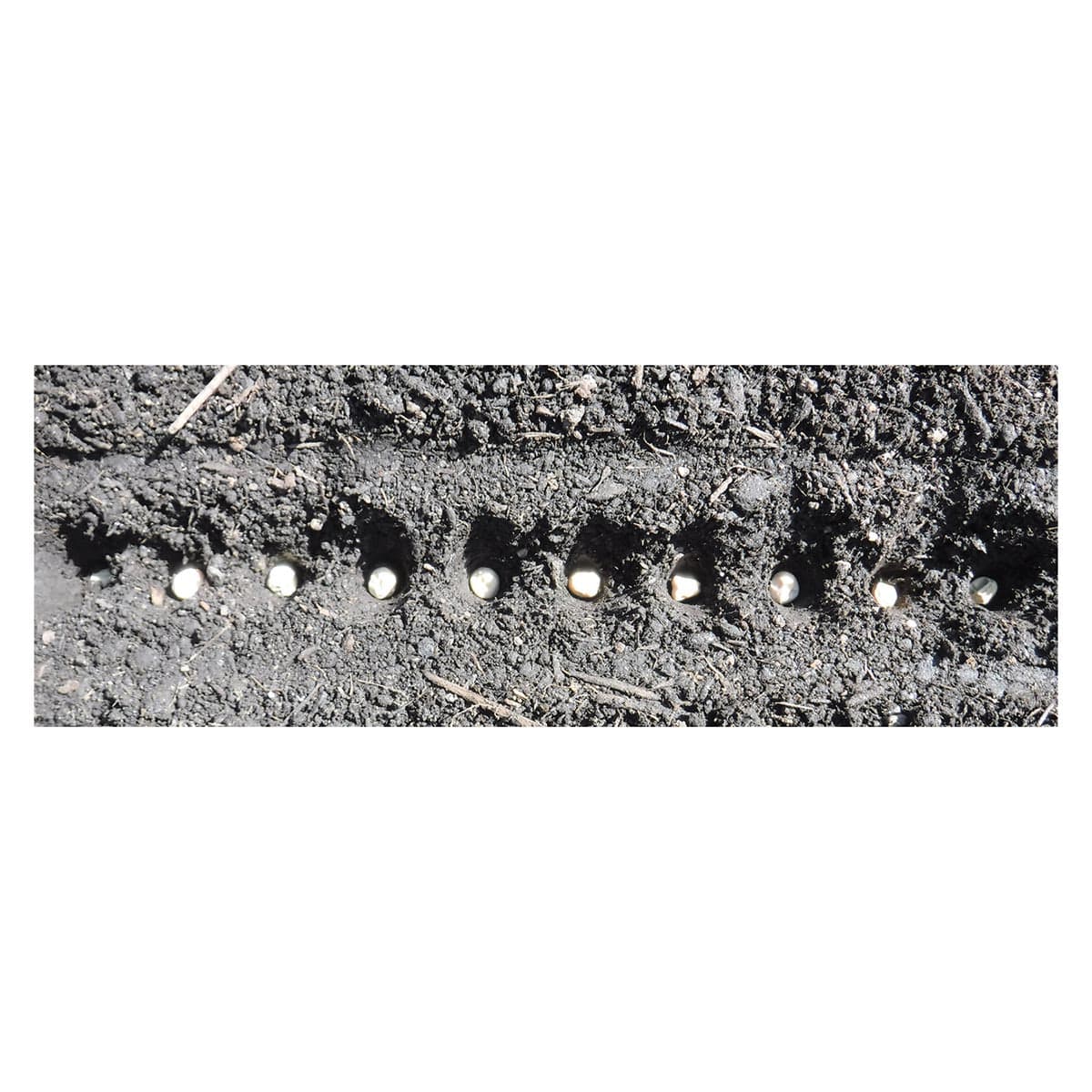 Gardinnovations Seed-In™ Soil Digger