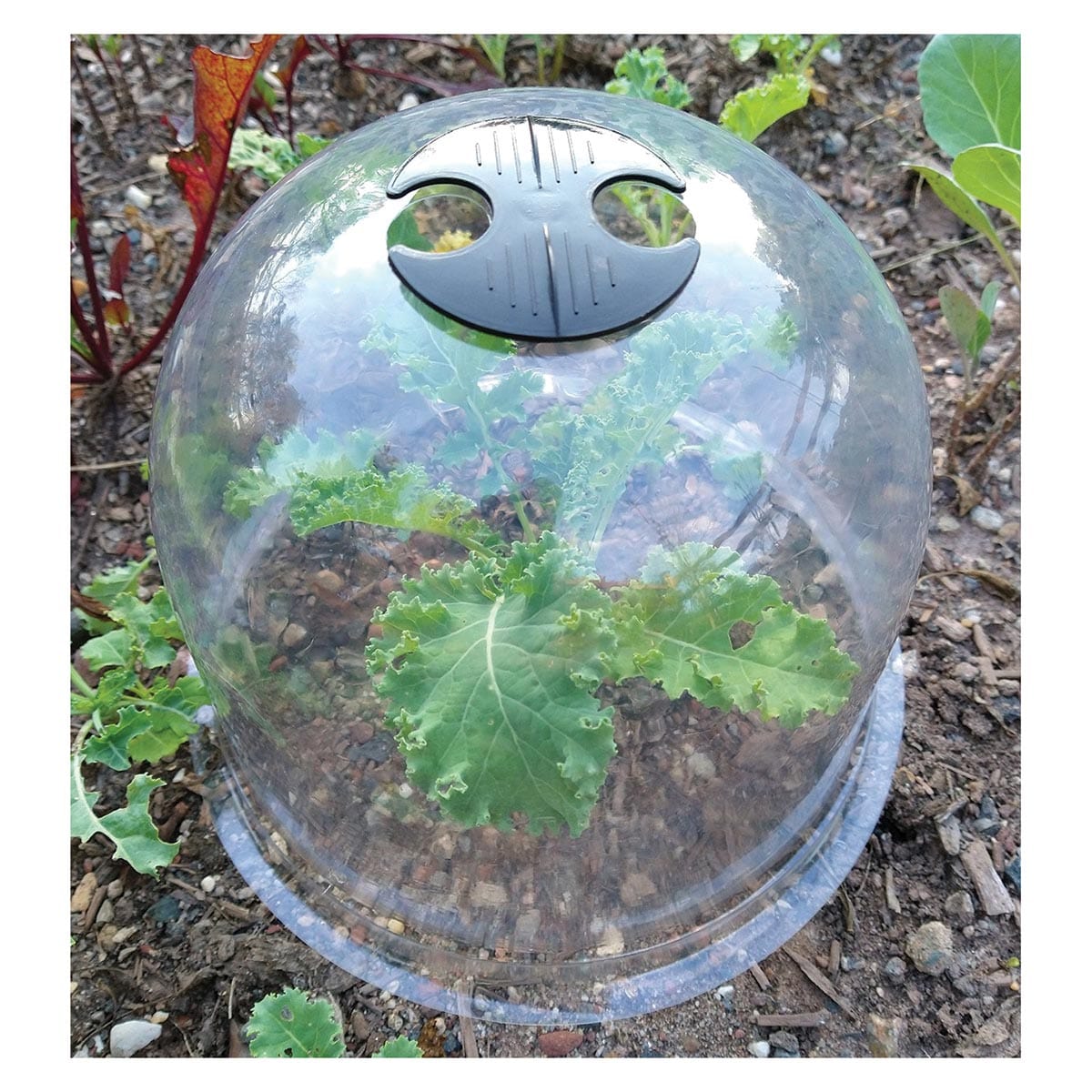 Gardinnovations GrowAway™ Reusable Medium Domes (6PK)