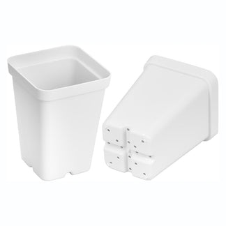 square plastic containers for plants SunPack Square Pot White 2.5 IN