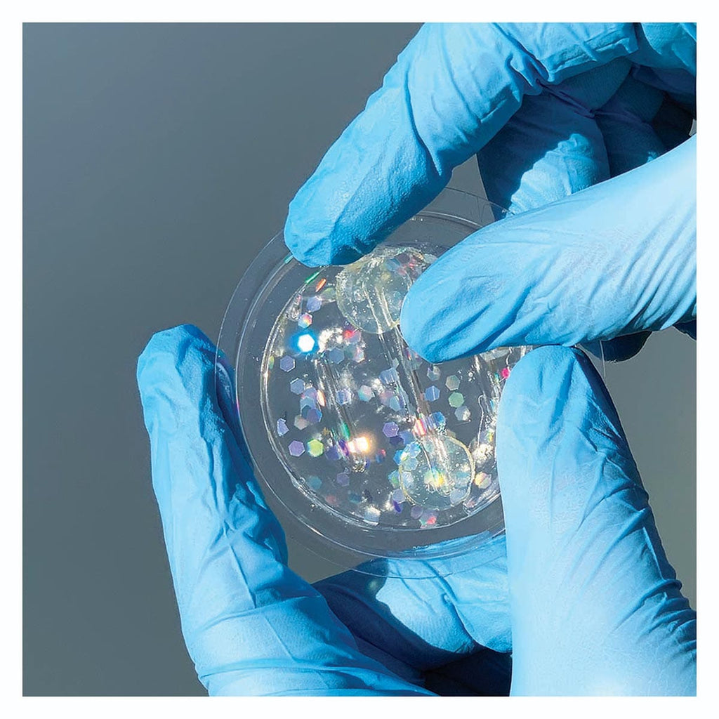 Bird B Gone SpectrumV Holographic Bird Gel 12PK with Adhesive Dots