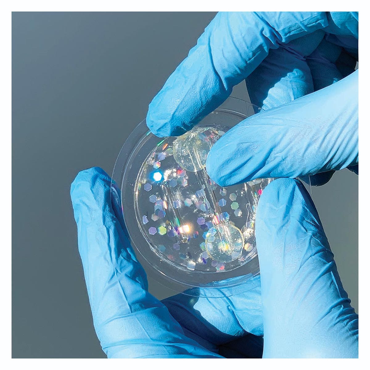 Bird B Gone SpectrumV Holographic Bird Gel 12PK with Adhesive Dots