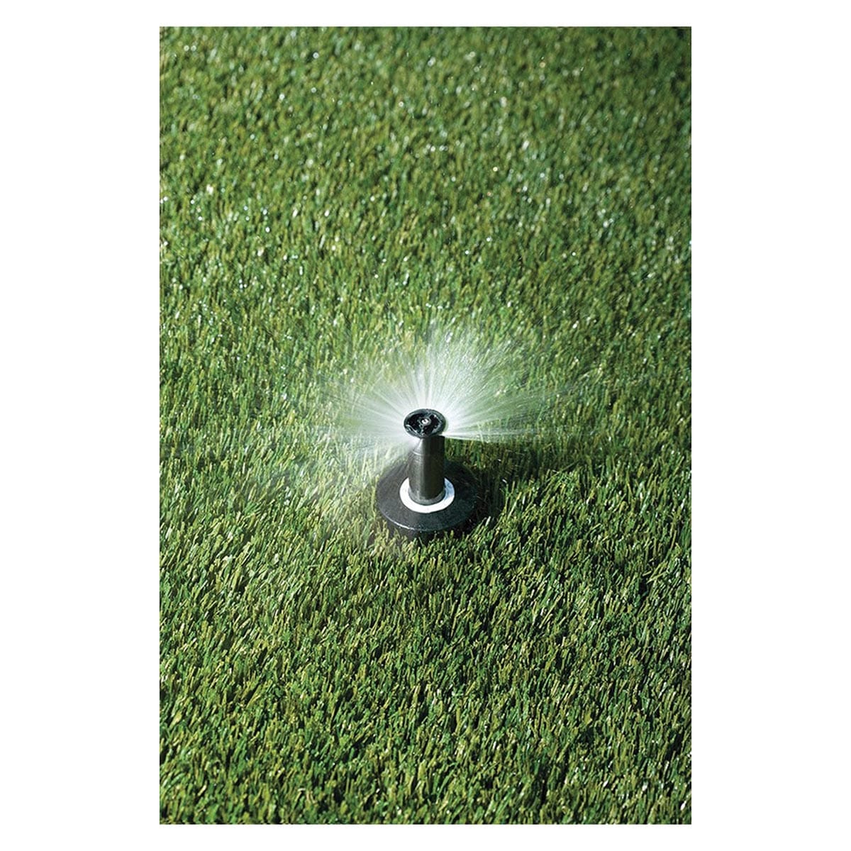 Rain Bird 2" 1800 Adjustable 15' Spray with Pressure Regulator