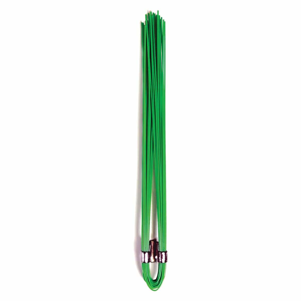 Green Blackburn 6 in. Stake Chaser Whiskers, 25 PK