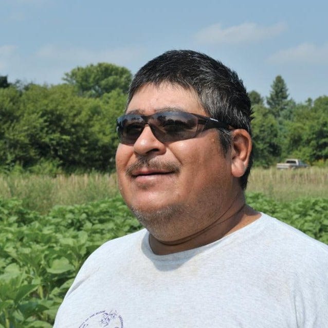 CARHARTT Industrial Safety Glasses