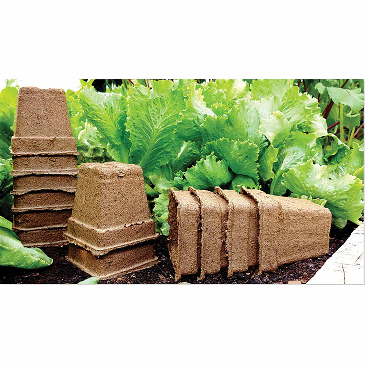 CowPots #3 Square 400 PK