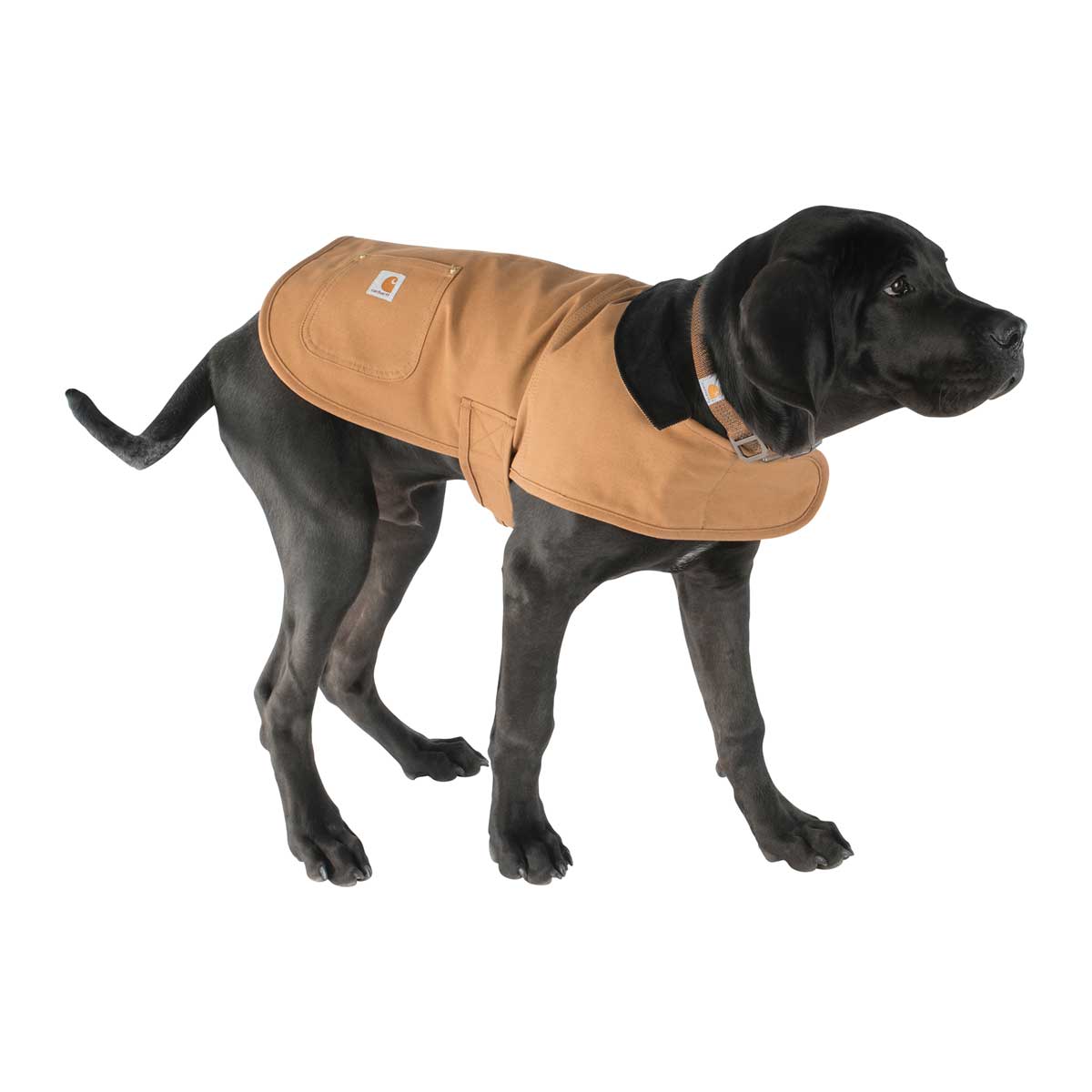 Carhartt Hunting/Tech Dog Chore Coat