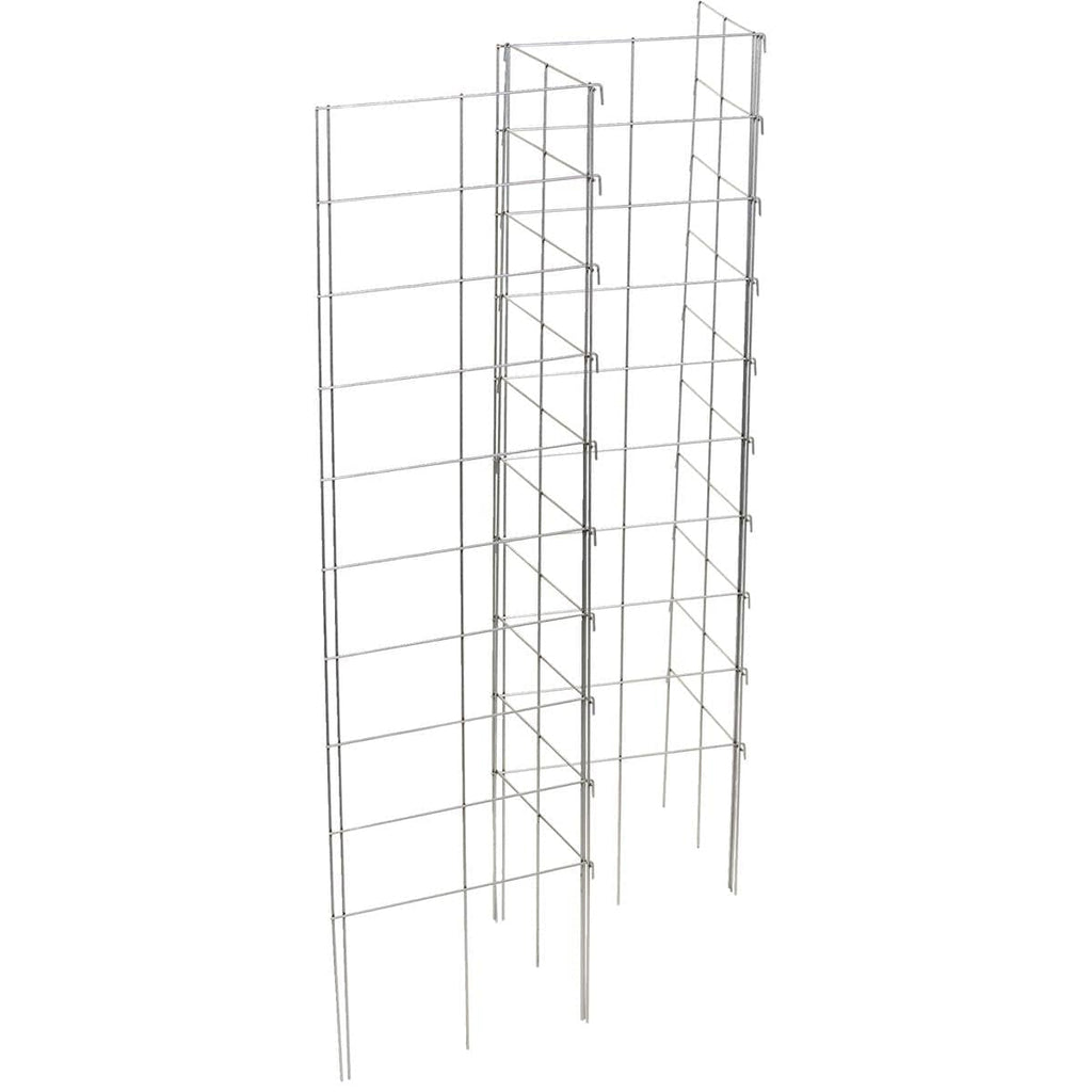 Trellis System for Climbing Plants