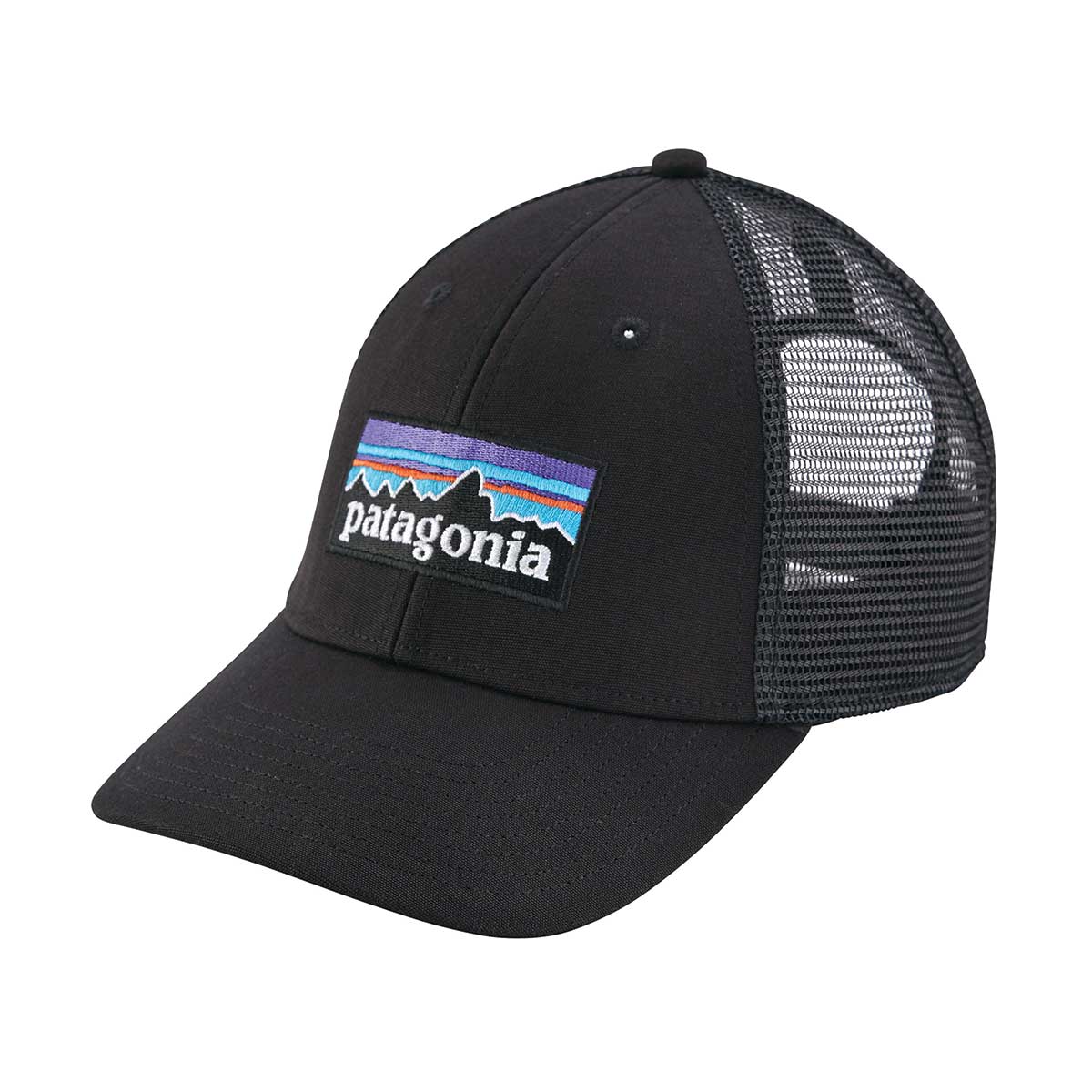 Patagonia P-6 LoPro Trucker Hat