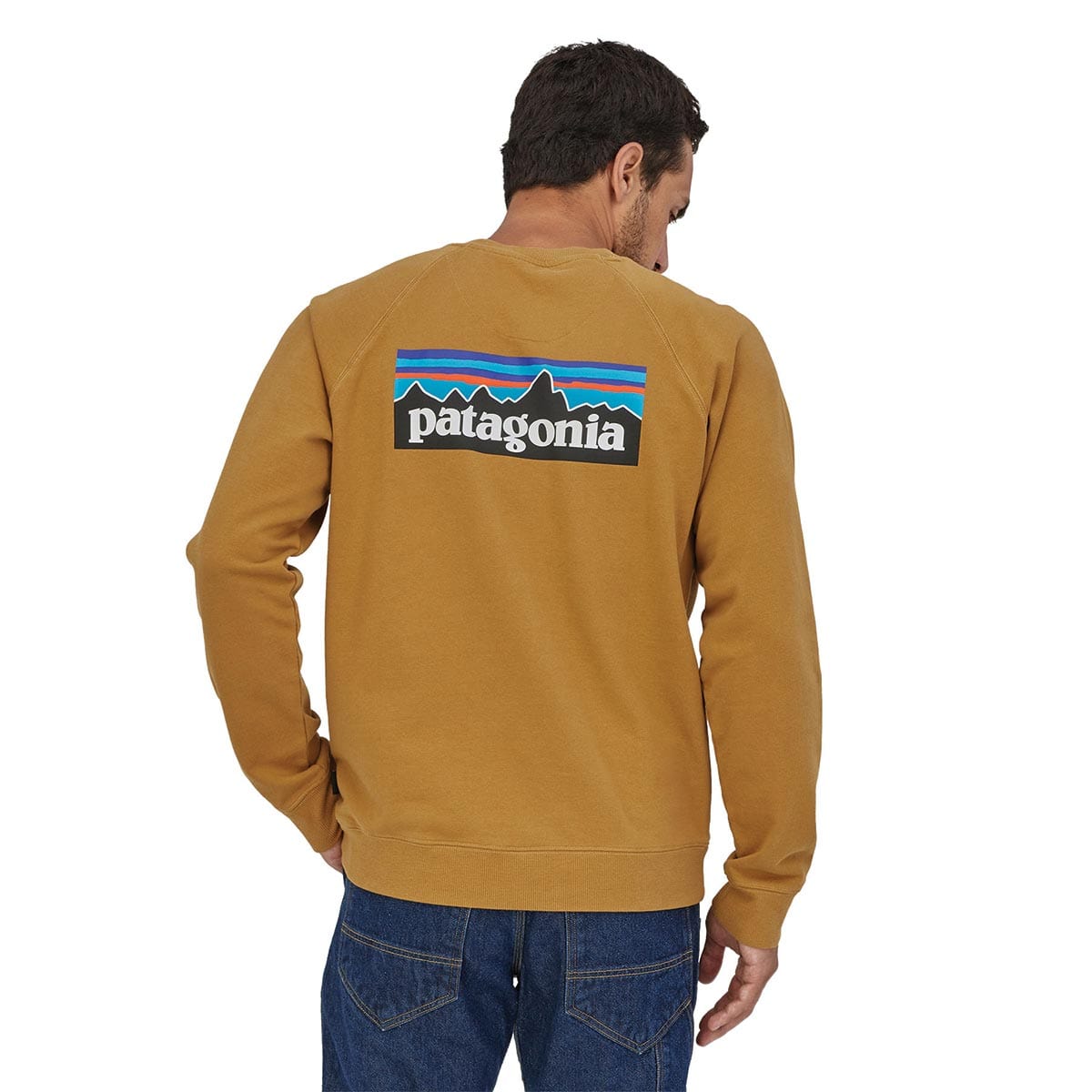 Patagonia P-6 Logo Organic Cotton Crew Sweatshirt