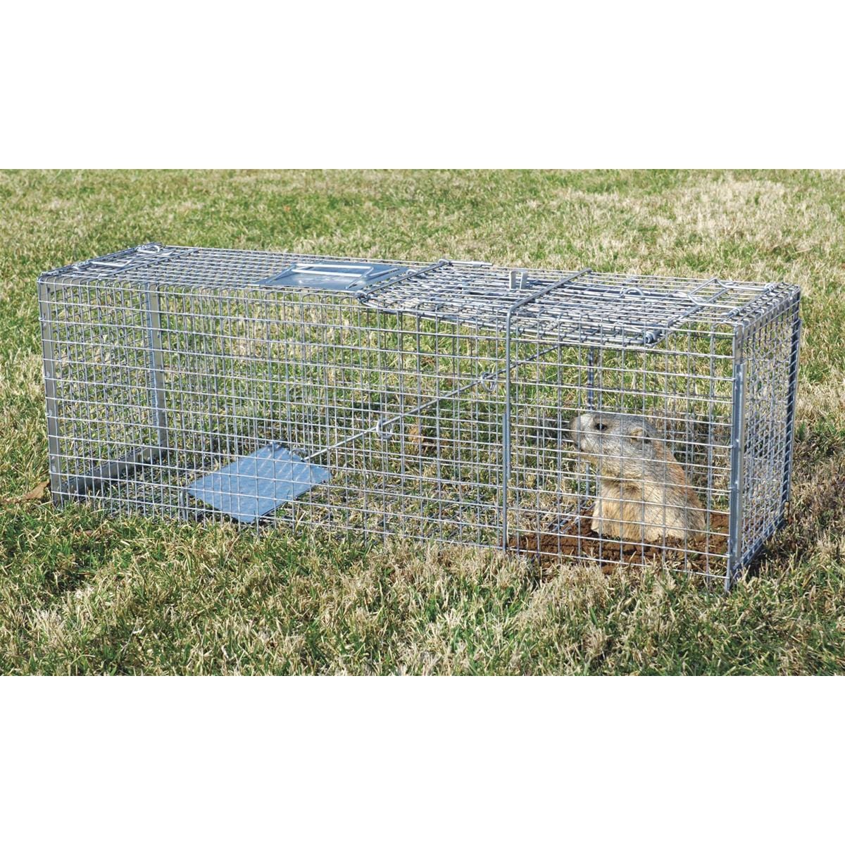 Universal Live Trap with Bottom Opening