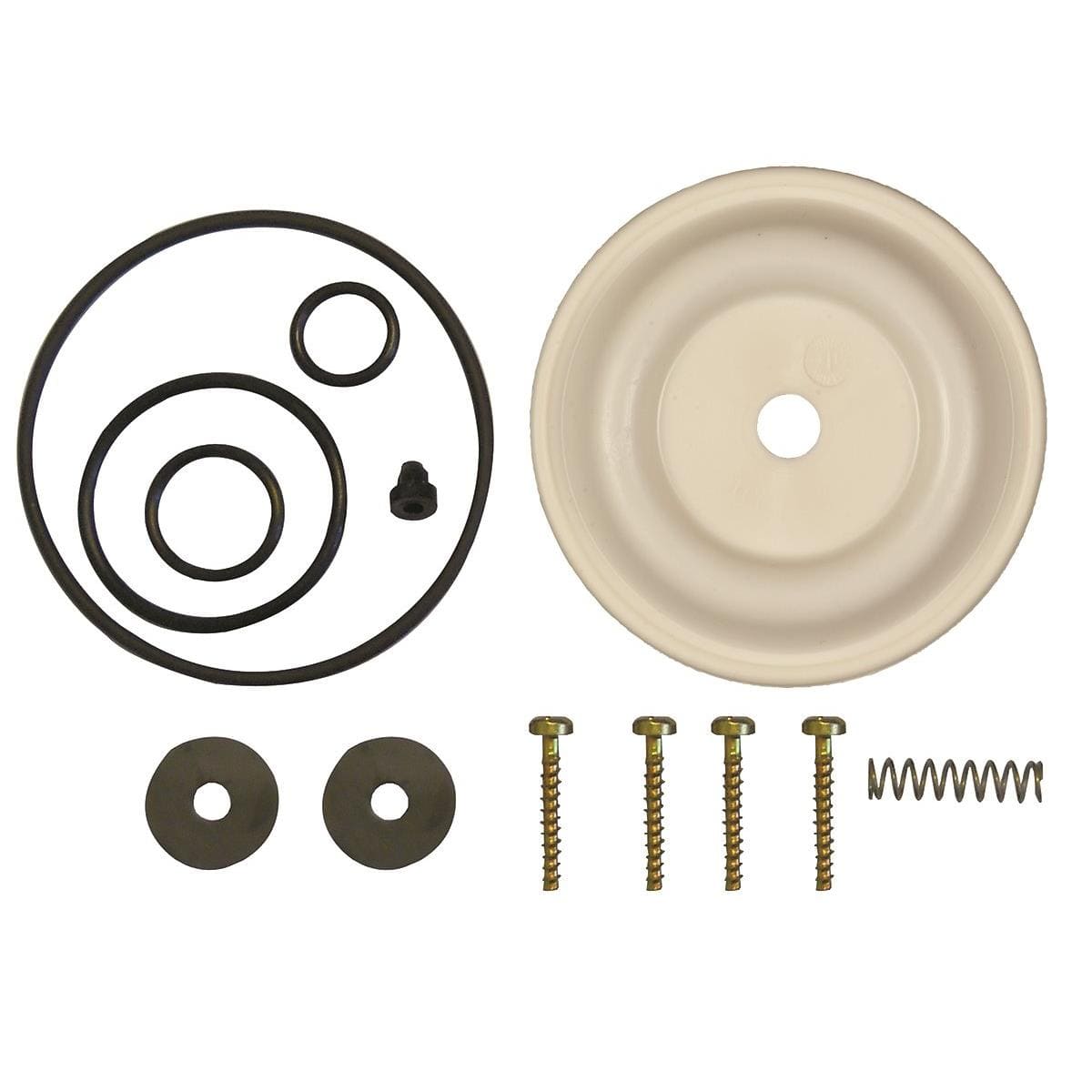 Solo® Diaphragm Pump Repair Kit