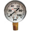 Fimco Dry Pressure Gauge, 0-100 psi