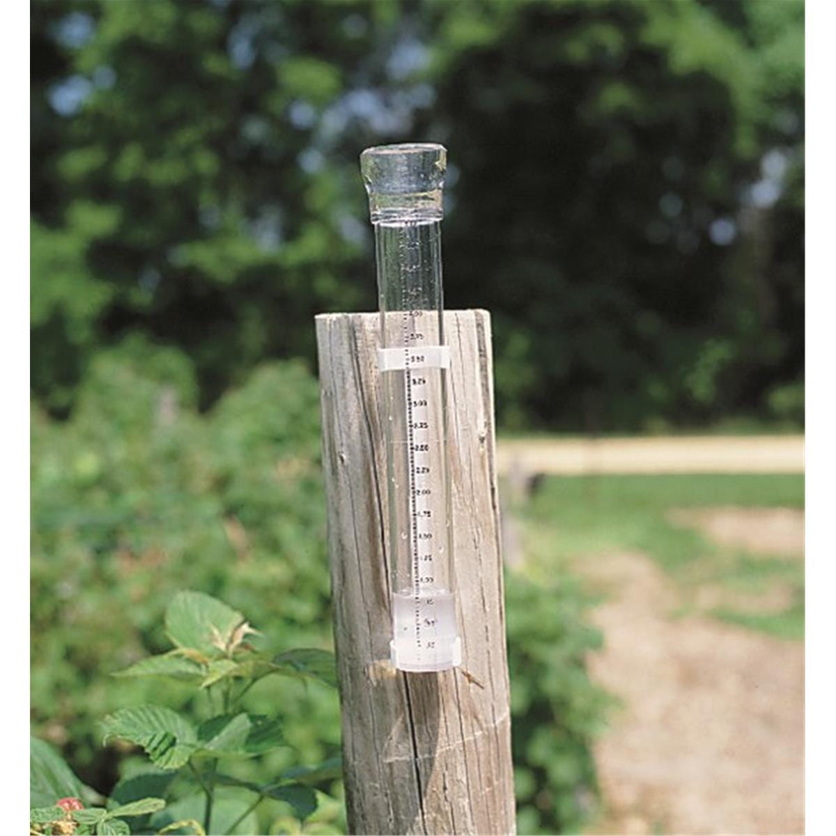Taylor Clear-Vu™ Rain Gauge