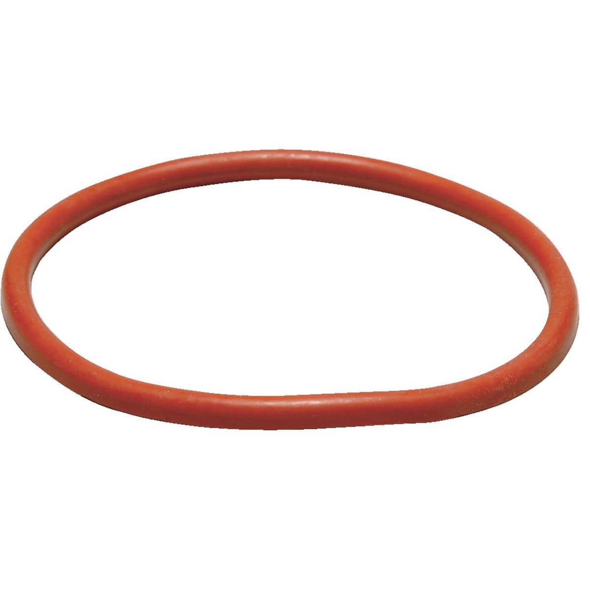 Tank Lid Gasket