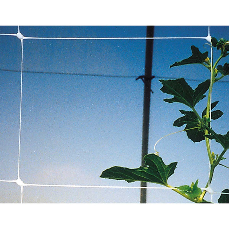 tenax hortonova plant trellis net Tenax 36 in. x 328 ft. White Hortonova Plant Trellis Net