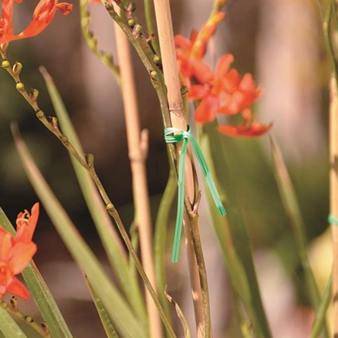 Bond Plastic-Coated Wire Ties