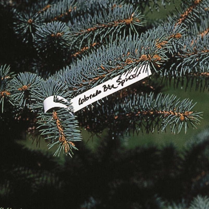 DP INDUSTRIES Vinyl Tree Marking Tags