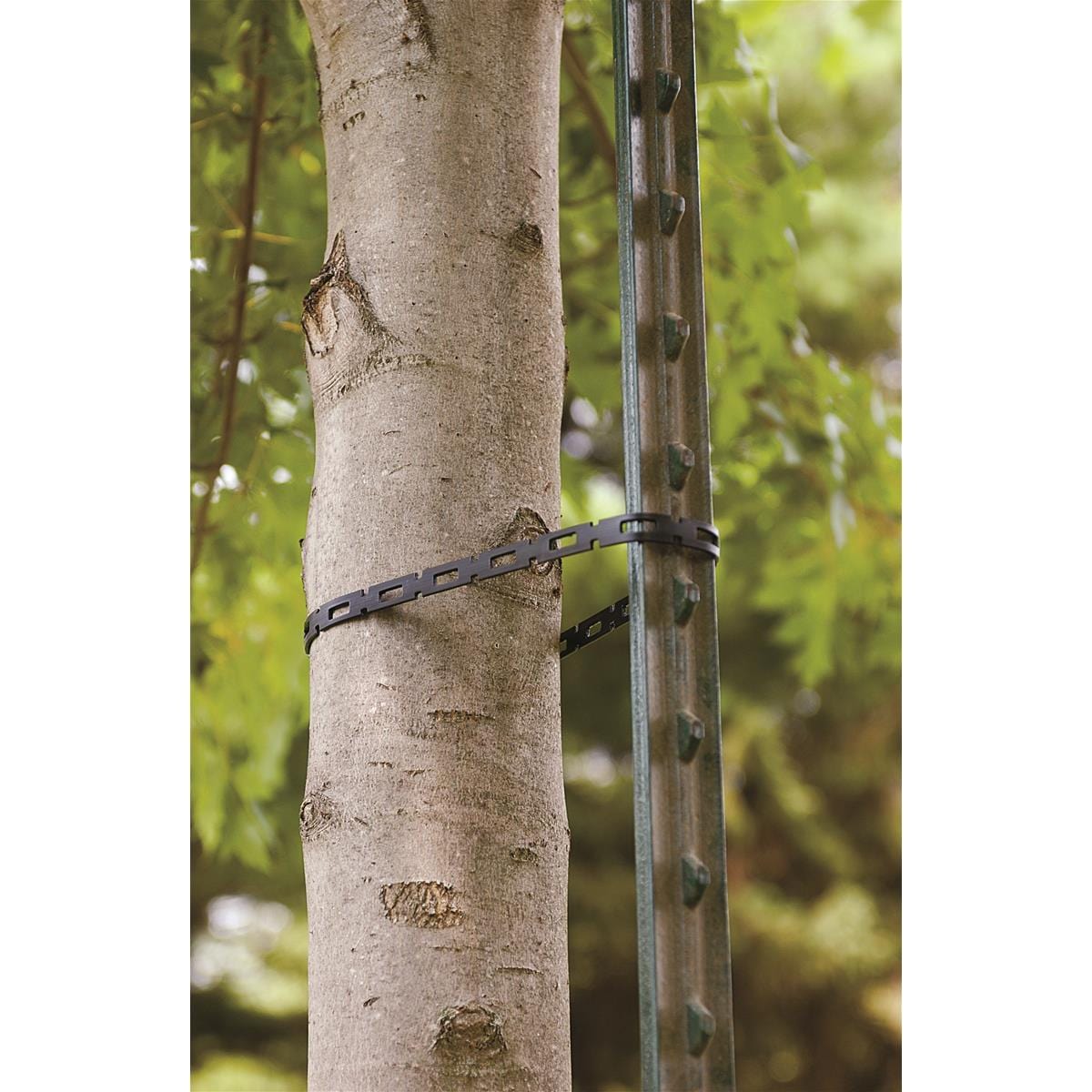 ProLock Chain-Lock Tree Tie