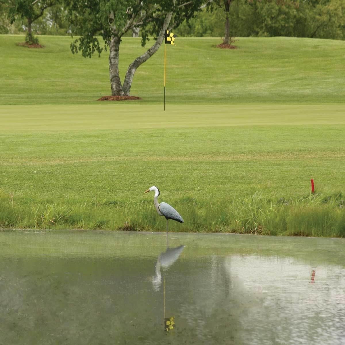 Great Blue Heron Decoy