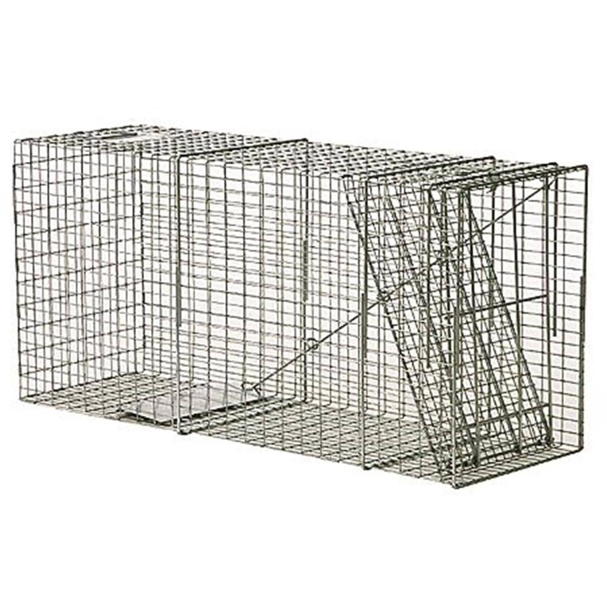 Bobcat / Coyote/ Small Feral Dog Galvanized Metal Live Transfer Animal Trap  with 1 x 2 Grid