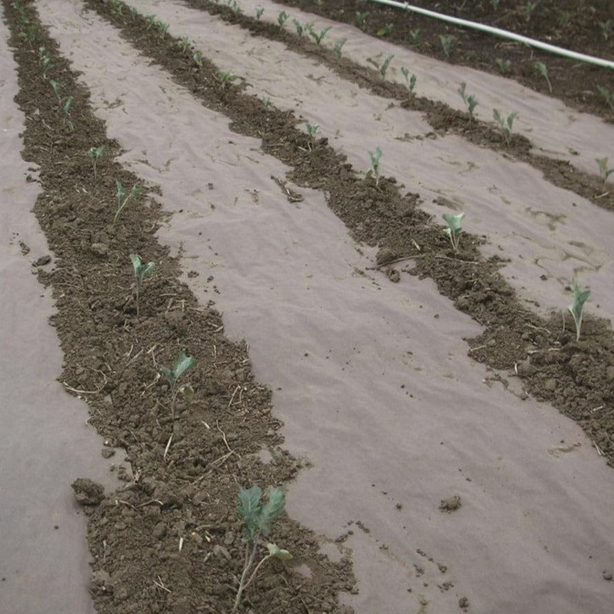 WeedGuard Plus Heavyweight Biodegradable Paper Weed Barrier