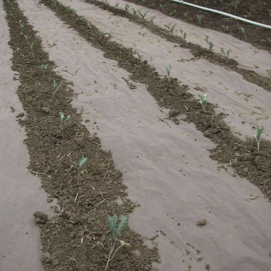 WeedGuard Plus 3-3-3 Fertilizer Enriched Biodegradable Paper Weed Barrier