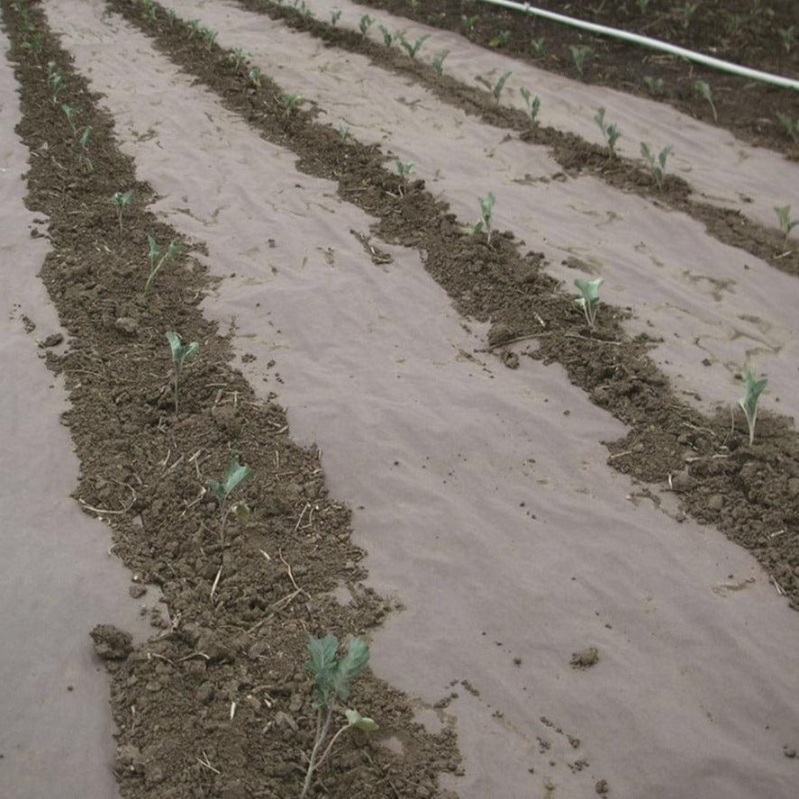 WeedGuard Plus Standard Weight Biodegradable Paper Weed Barrier