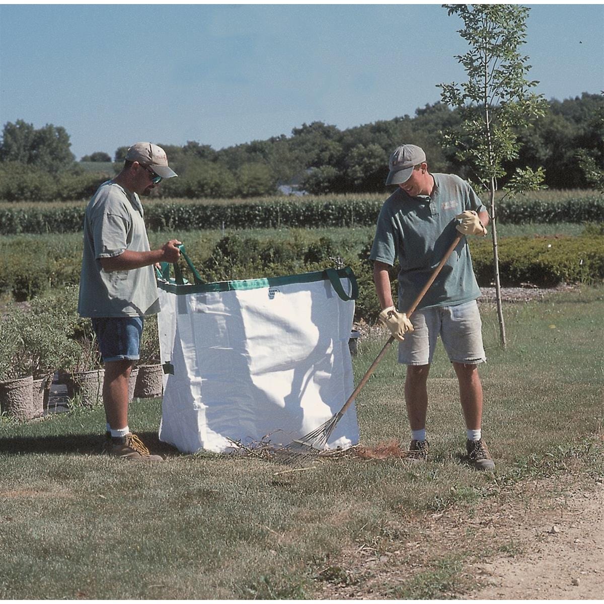 Landscaping Bags