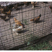 Black Poultry Fencing, 4'H x 50'L