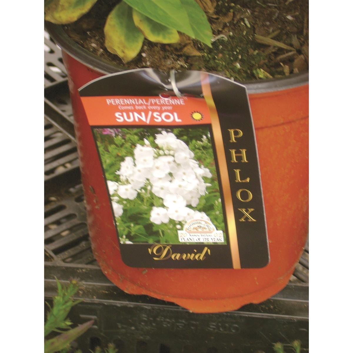 Hog Ring Plier Stapler