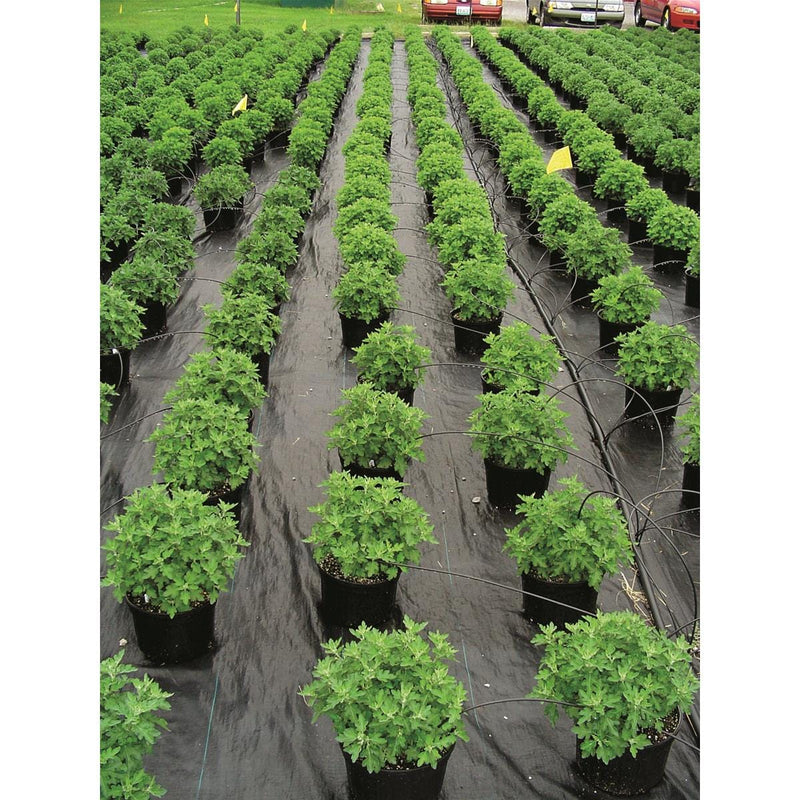 Ultra Web 3000 Ground Cover Roll, 4'W x 600'L