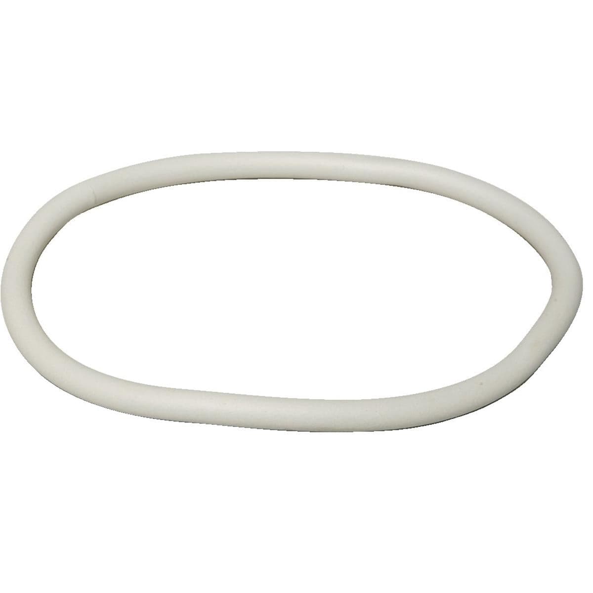 Birchmeier® Birchmeier®  Sprayer Parts -- Lid Gasket