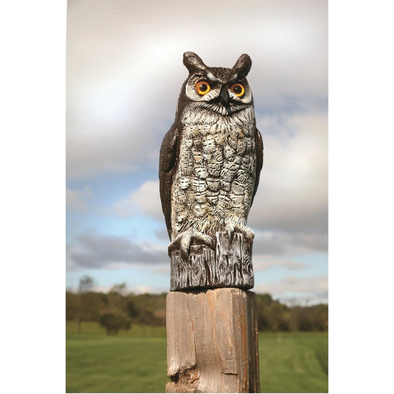 Horned Owl Decoy