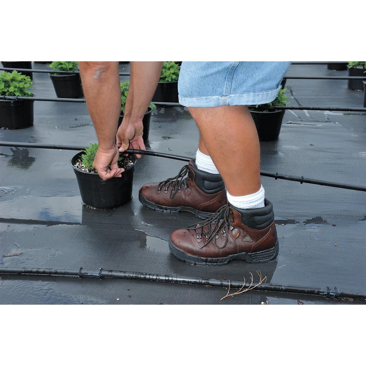 Rocky Plain Toe Hiker Boots