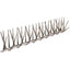 Clear Polycarbonate Bird Spikes, 10'L x 5