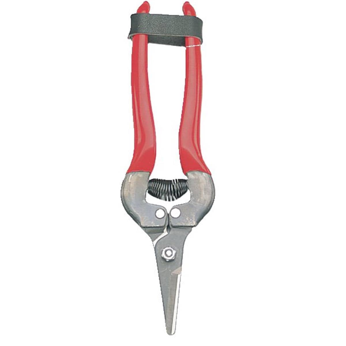 ARS 340 Short-Blade Fruit Pruner