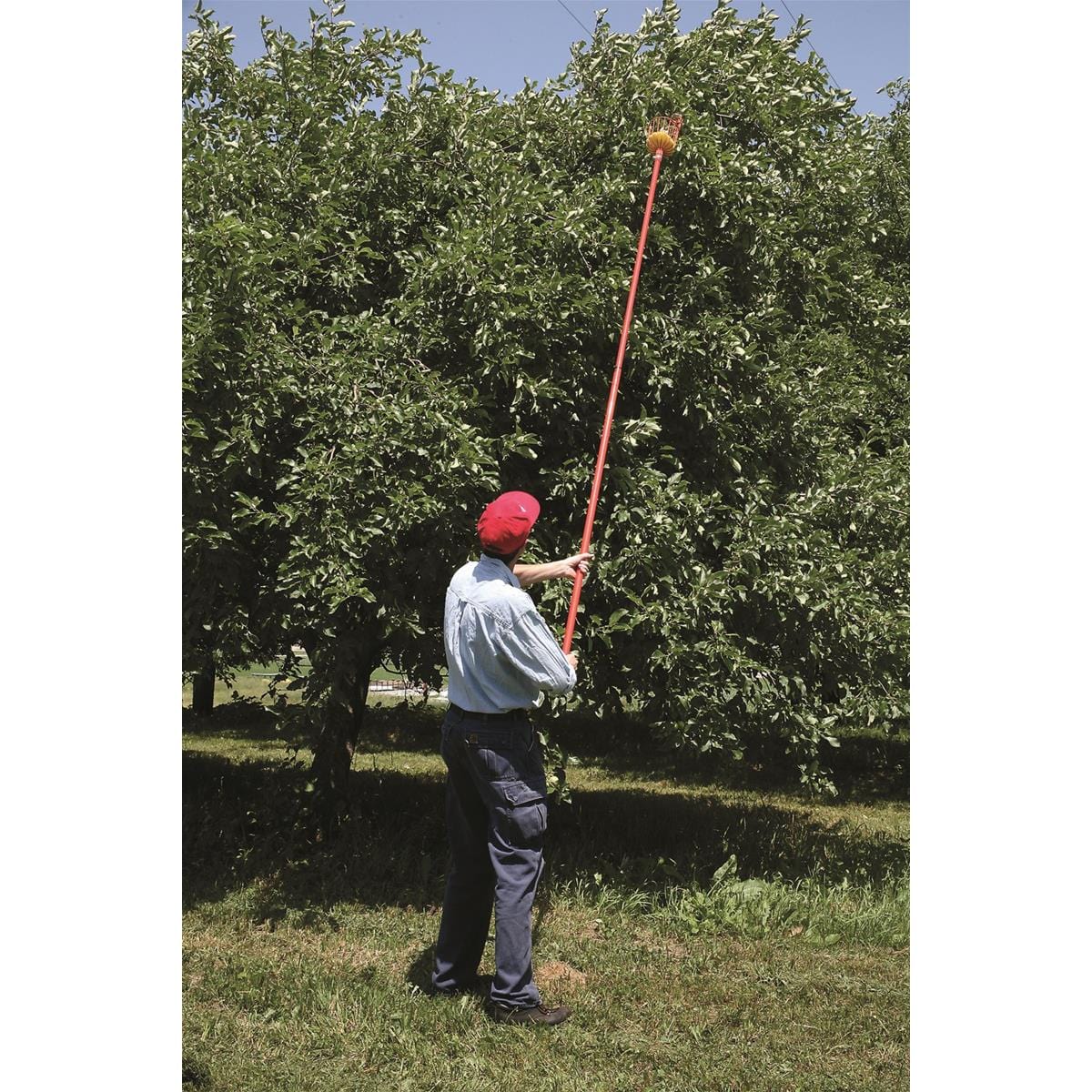 Telescoping Fruit Picker