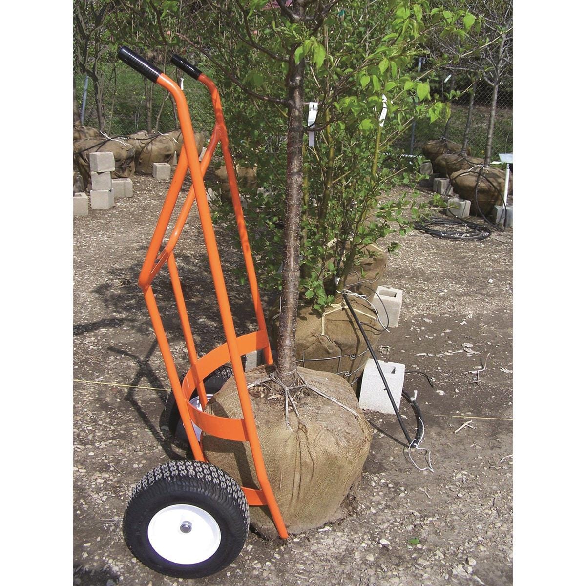 Nursery Ball Cart