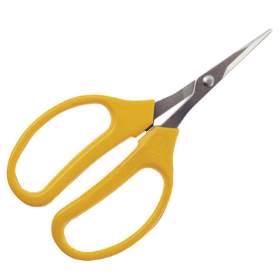 Pruning Scissors