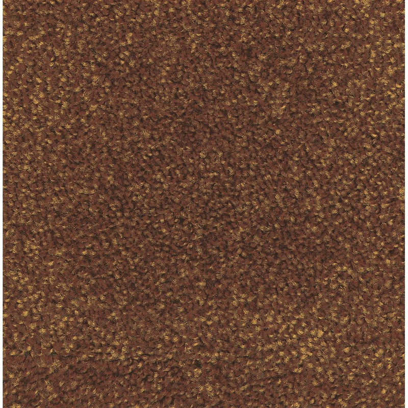 M + A Economical Indoor Carpet Mat