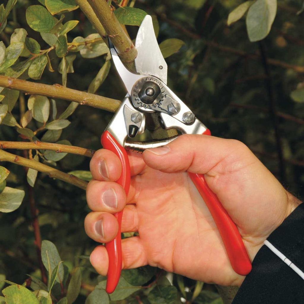 felco garden scissors Felco 6 Pruner