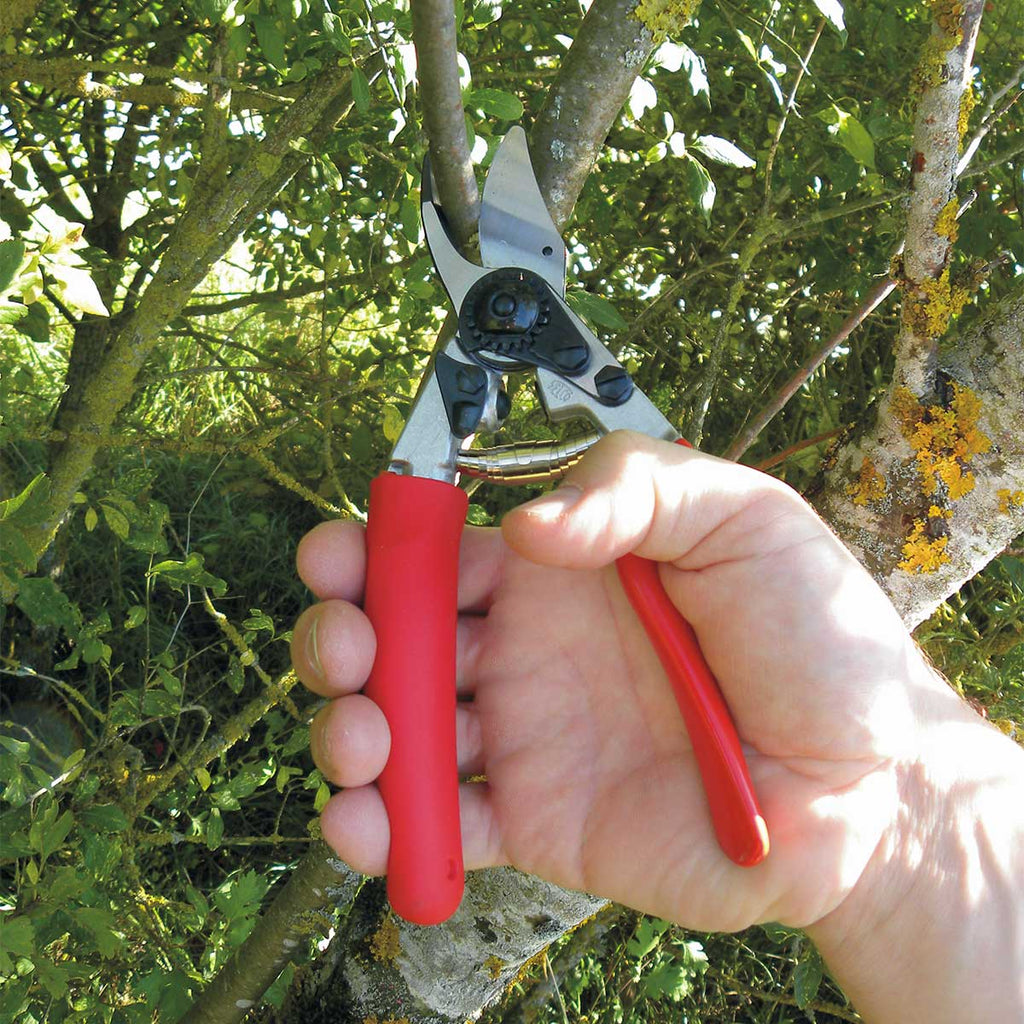 FELCO 12 Ergonomic, Rotating-Handle Hand Pruner In Use+++FELCO 12 Ergonomic, Rotating-Handle Hand Pruner In Use