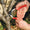 FELCO 13 Long-Handled, One- or Two-Hand Pruner