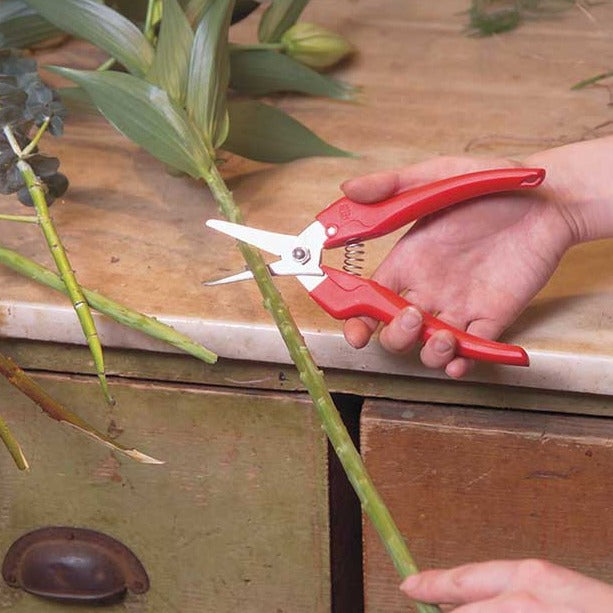 FELCO 310 Picking and Trimming Snip