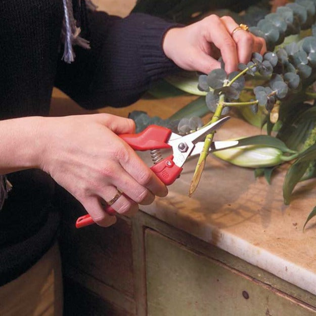 FELCO 310 Picking and Trimming Snip