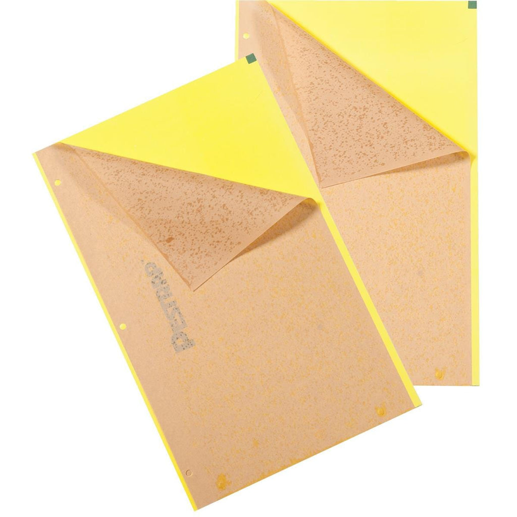 Yellow Pestrap Jumbo Sticky Traps