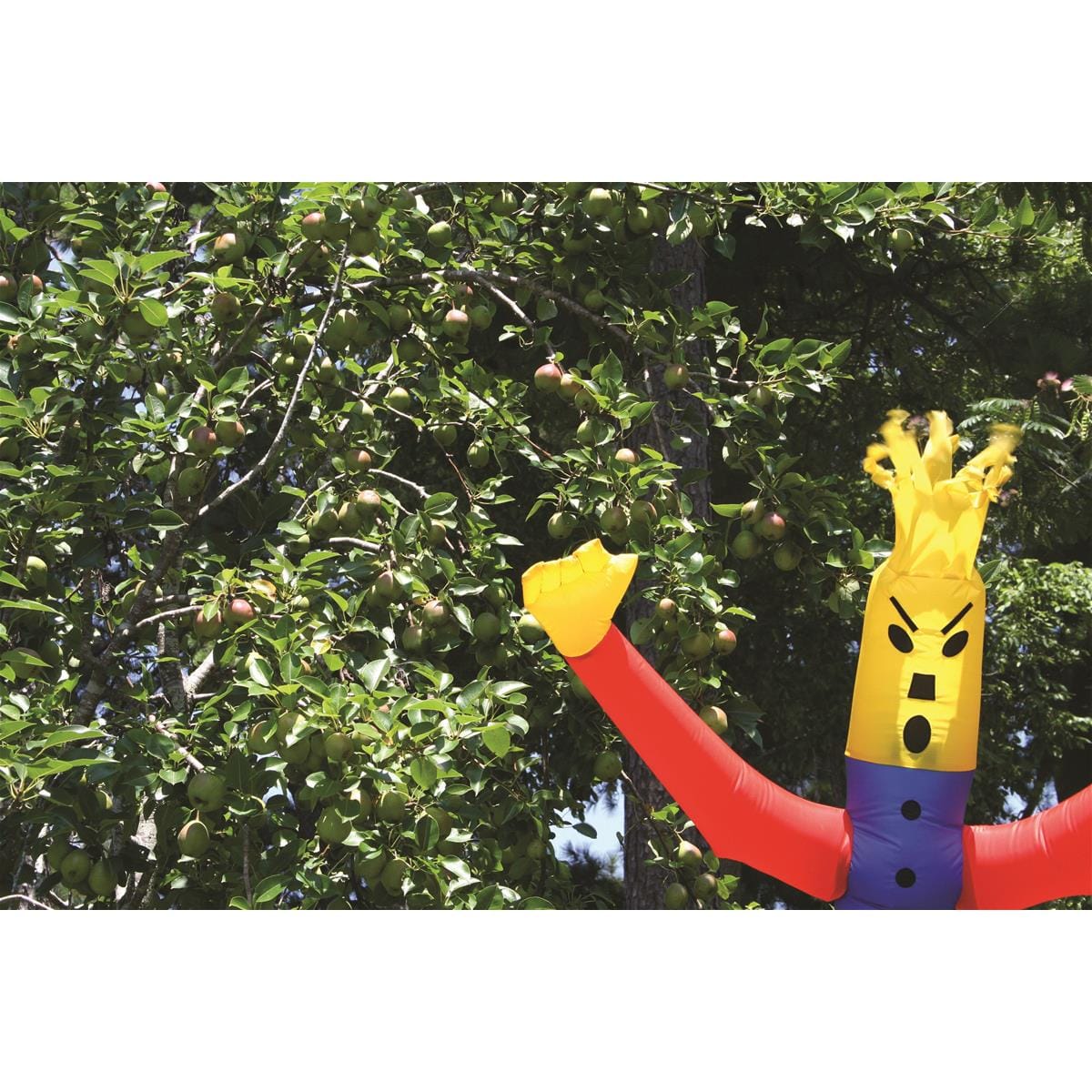 AirCrow 8'L Inflatable Scarecrow